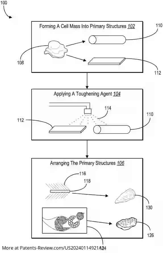 Drawing 01 for Method for forming cell-based-meat fibers