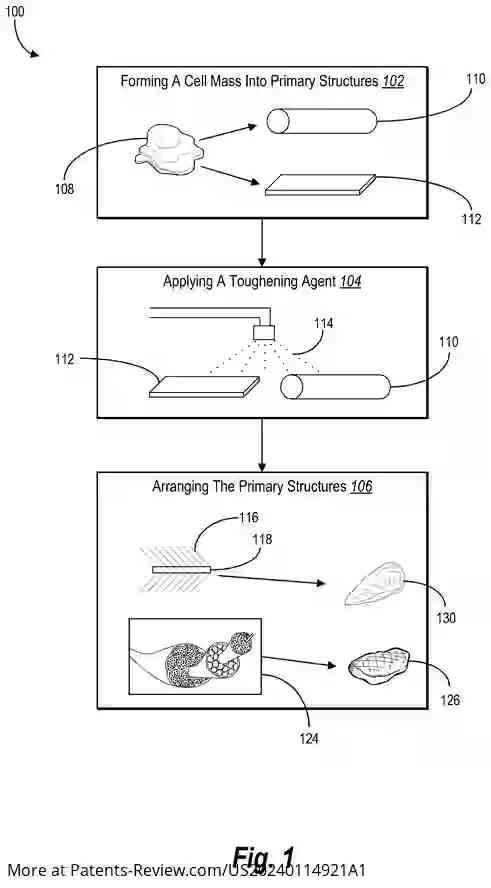 Drawing 02 for Method for forming cell-based-meat fibers