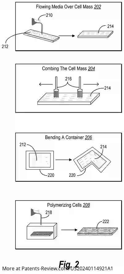 Drawing 03 for Method for forming cell-based-meat fibers