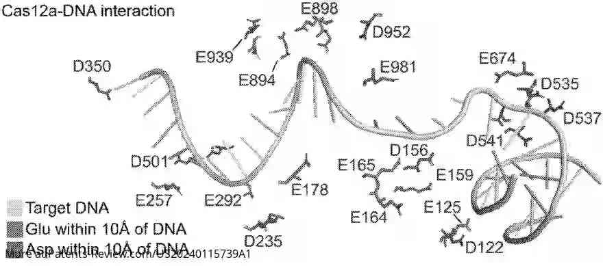 Drawing 01 for SYNTHETIC CAS12A FOR ENHANCED MULTIPLEX GENE CONTROL AND EDITING