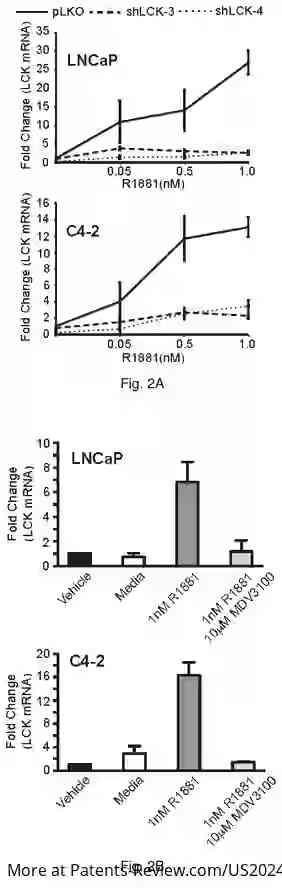 Drawing 04 for METHODS AND COMPOSITIONS FOR DIAGNOSING AND TREATING PROSTATE CANCER BASED ON LONG NONCODING RNA OVERLAPPING THE LCK GENE THAT REGULATES PROSTATE CANCER CELL GROWTH