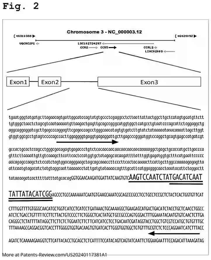 Drawing 03 for METHOD FOR PRODUCING DNA-EDITED EUKARYOTIC CELL, AND KIT USED IN THE SAME