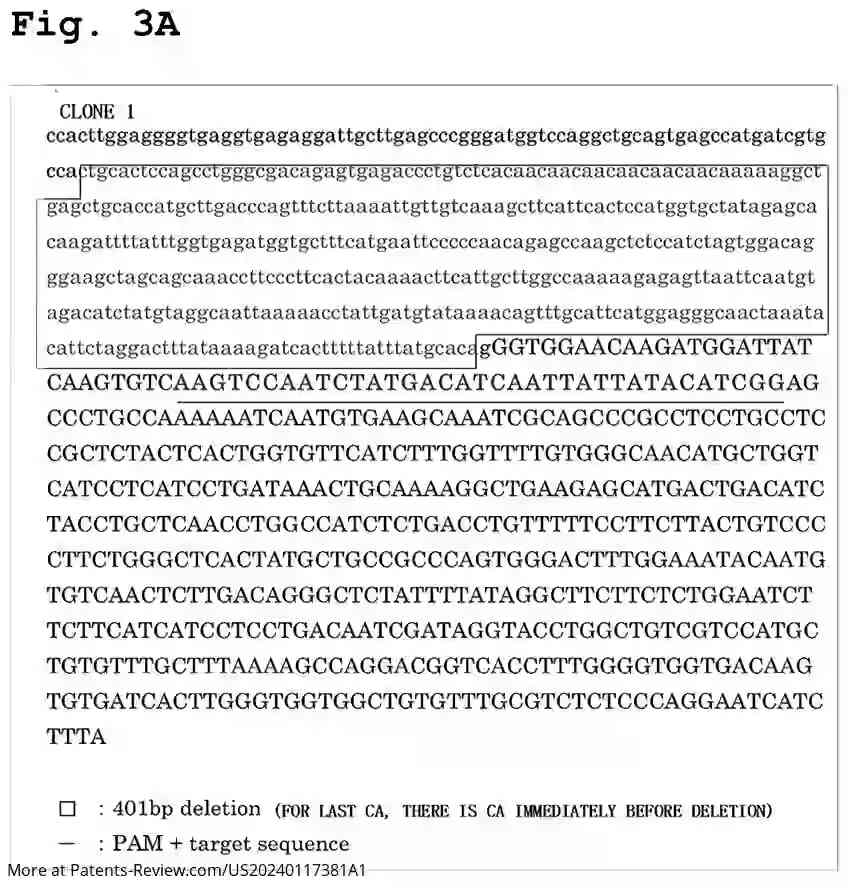 Drawing 04 for METHOD FOR PRODUCING DNA-EDITED EUKARYOTIC CELL, AND KIT USED IN THE SAME