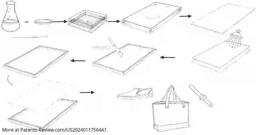 Drawing 01 for A BIOLEATHER PRODUCTION METHOD