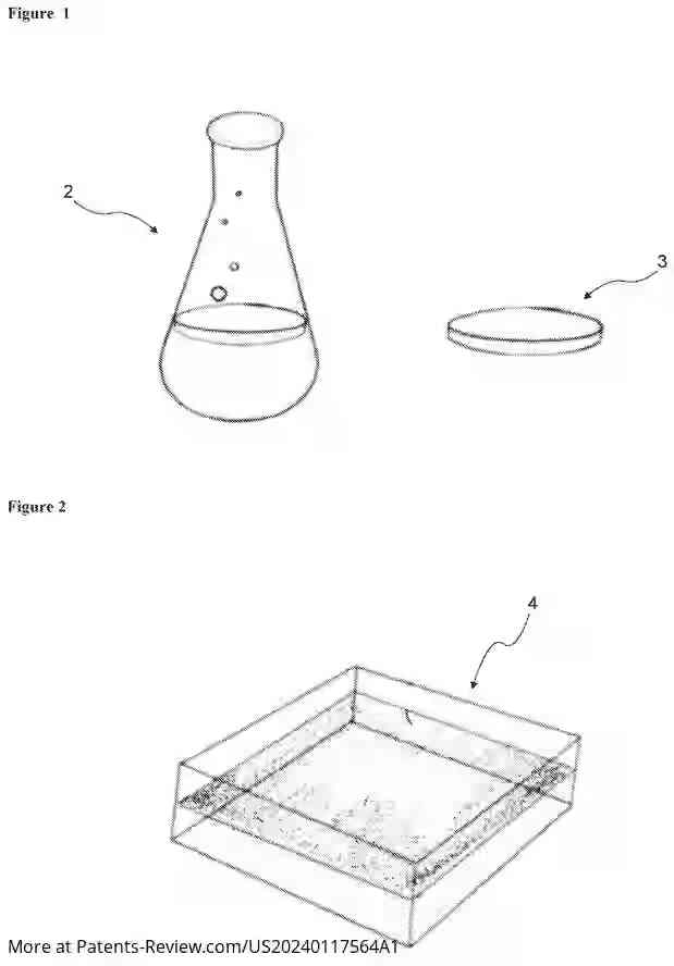 Drawing 02 for A BIOLEATHER PRODUCTION METHOD