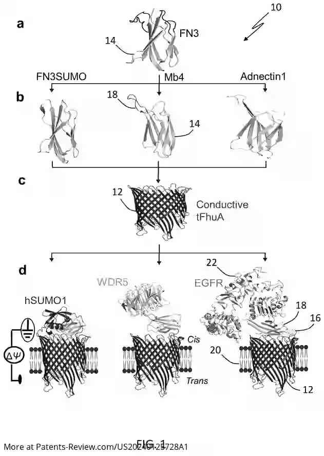 Drawing 02 for GENERALIZABLE NANOPORE SENSOR FOR HIGHLY SPECIFIC PROTEIN DETECTION AT SINGLE-MOLECULE PRECISION