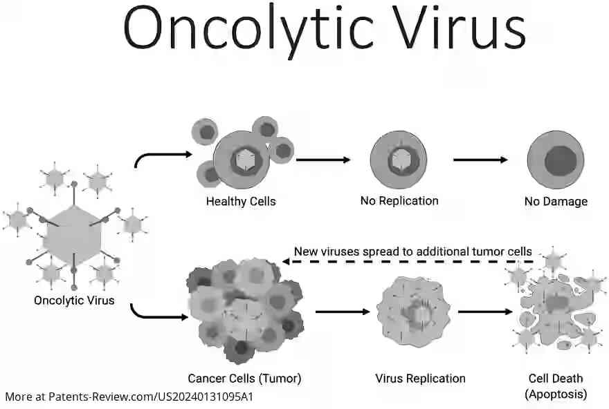 Drawing 01 for ARTIFICIAL ONCOLYTIC VIRUSES AND RELATED METHODS