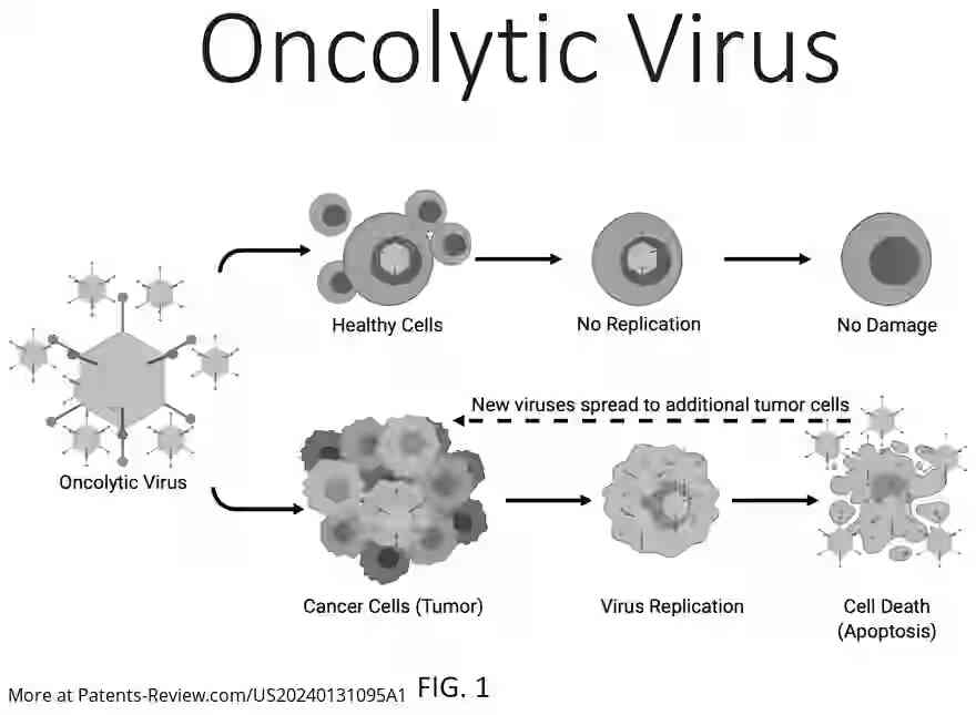 Drawing 02 for ARTIFICIAL ONCOLYTIC VIRUSES AND RELATED METHODS