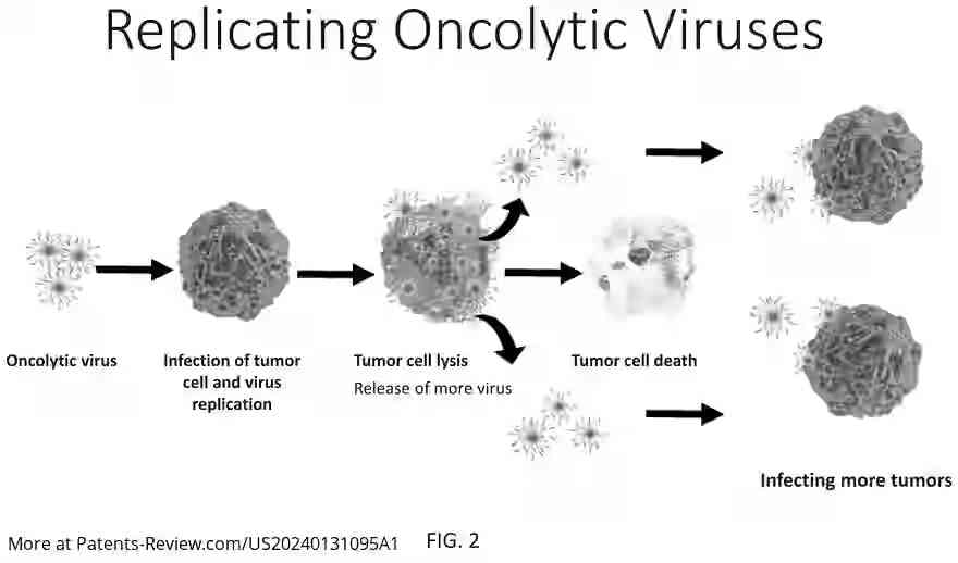 Drawing 03 for ARTIFICIAL ONCOLYTIC VIRUSES AND RELATED METHODS