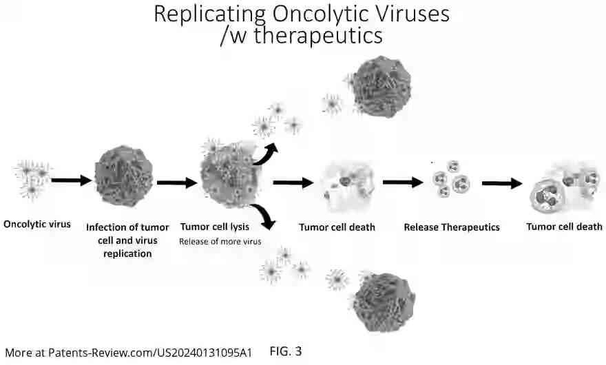 Drawing 04 for ARTIFICIAL ONCOLYTIC VIRUSES AND RELATED METHODS