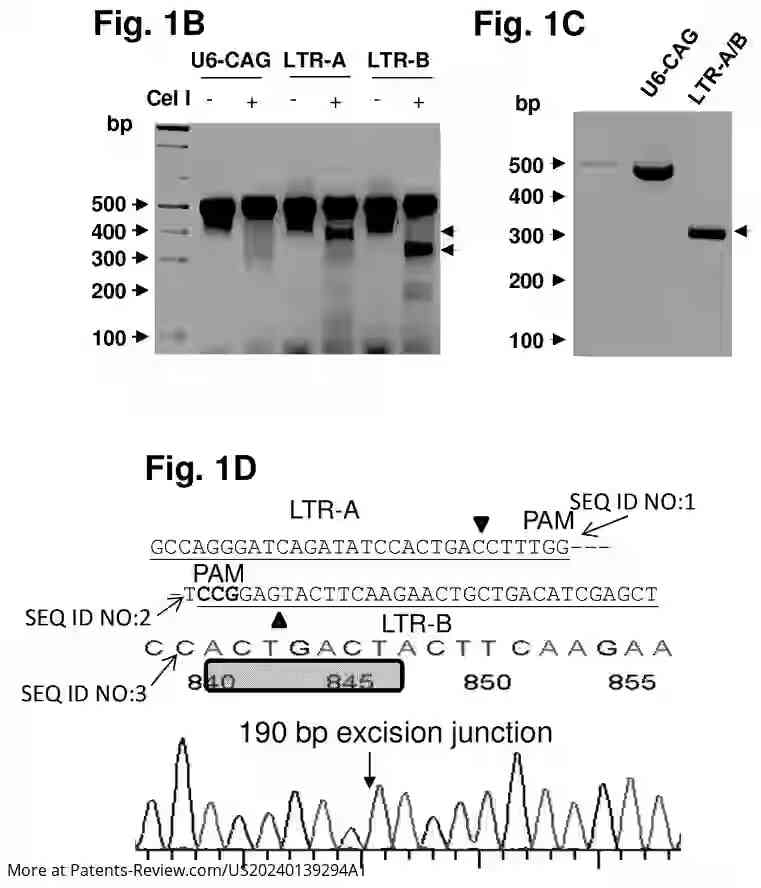 Drawing 03 for METHODS AND COMPOSITIONS FOR RNA-GUIDED TREATMENT OF HIV INFECTION