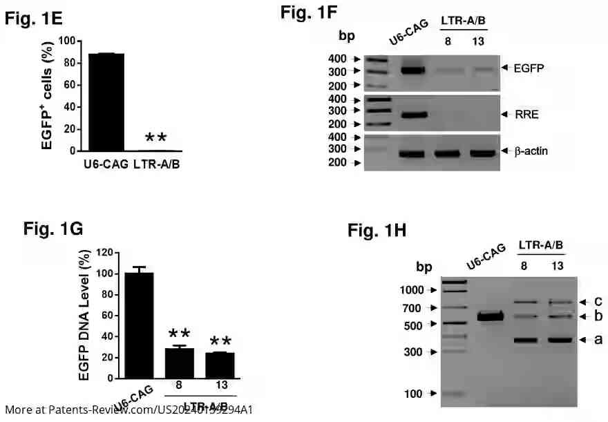 Drawing 04 for METHODS AND COMPOSITIONS FOR RNA-GUIDED TREATMENT OF HIV INFECTION