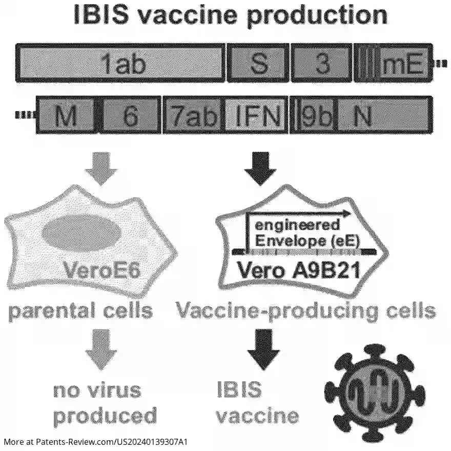 Drawing 01 for INTERFERON-PRODUCING UNIVERSAL SARBECOVIRUS VACCINES, AND USES THEREOF