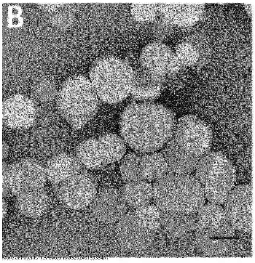 Drawing 01 for ENGINEERED LIPOSOMES FOR NEUTRALIZATION OF SARS-COV-2 AND OTHER ENVELOPED VIRUSES