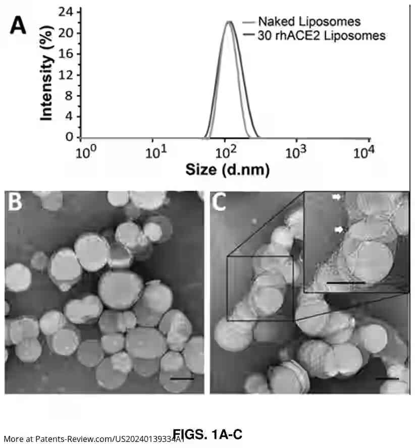 Drawing 02 for ENGINEERED LIPOSOMES FOR NEUTRALIZATION OF SARS-COV-2 AND OTHER ENVELOPED VIRUSES