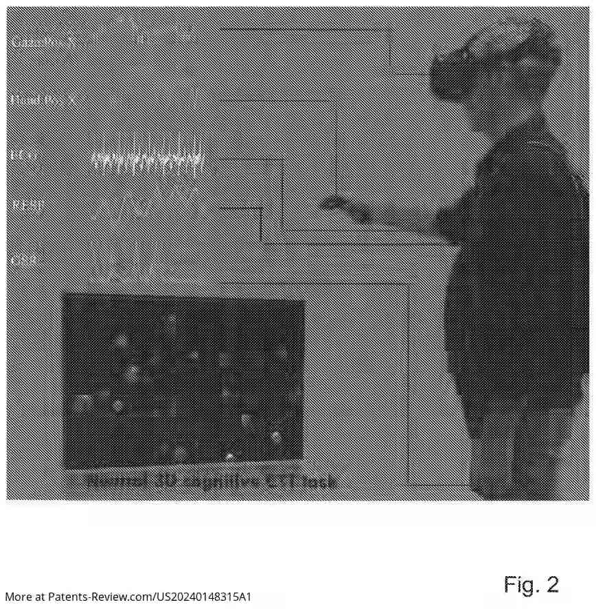 Drawing 03 for XR-BASED PLATFORM FOR NEURO-COGNITIVE-MOTOR-AFFECTIVE ASSESSMENTS