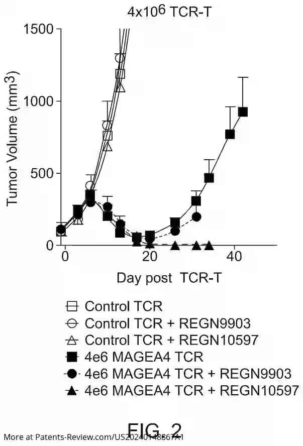 Drawing 03 for METHODS OF TREATING CANCER WITH A COMBINATION OF ADOPTIVE CELL THERAPY AND A TARGETED IMMUNOCYTOKINE