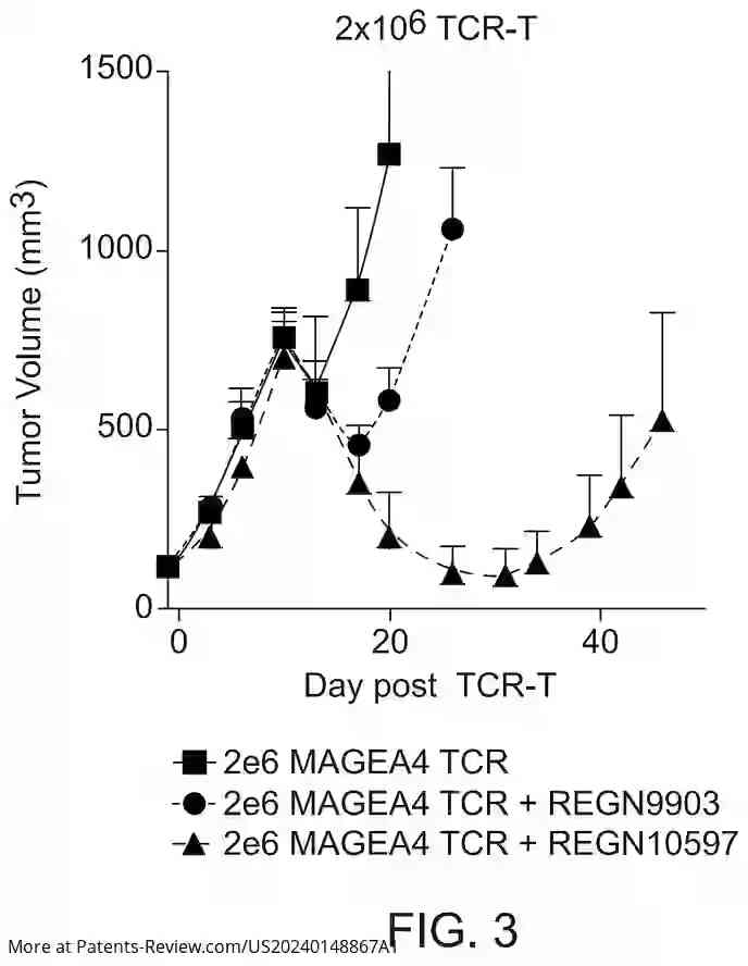 Drawing 04 for METHODS OF TREATING CANCER WITH A COMBINATION OF ADOPTIVE CELL THERAPY AND A TARGETED IMMUNOCYTOKINE