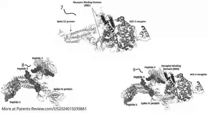 Drawing 01 for PEPTIDES AND CONJUGATES THEREOF AS ACE-2 AND S1 SUBUNIT MIMICS AGAINST SEVERE ACUTE RESPIRATORY SYNDROME CORONAVIRUS-2 (SARS-COV2) INFECTION