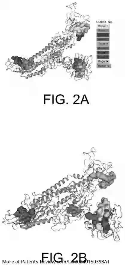 Drawing 03 for PEPTIDES AND CONJUGATES THEREOF AS ACE-2 AND S1 SUBUNIT MIMICS AGAINST SEVERE ACUTE RESPIRATORY SYNDROME CORONAVIRUS-2 (SARS-COV2) INFECTION