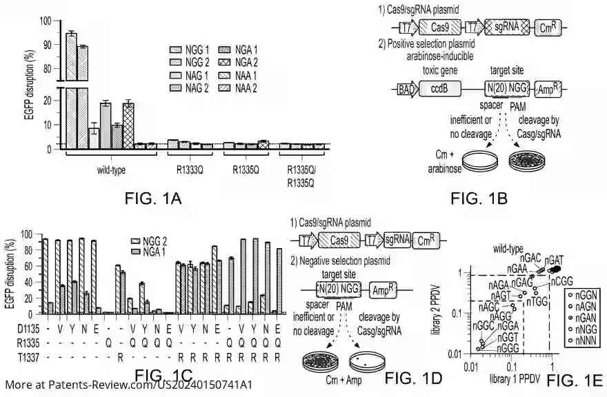 Drawing 02 for Engineered CRISPR-Cas9 nucleases with Altered PAM Specificity