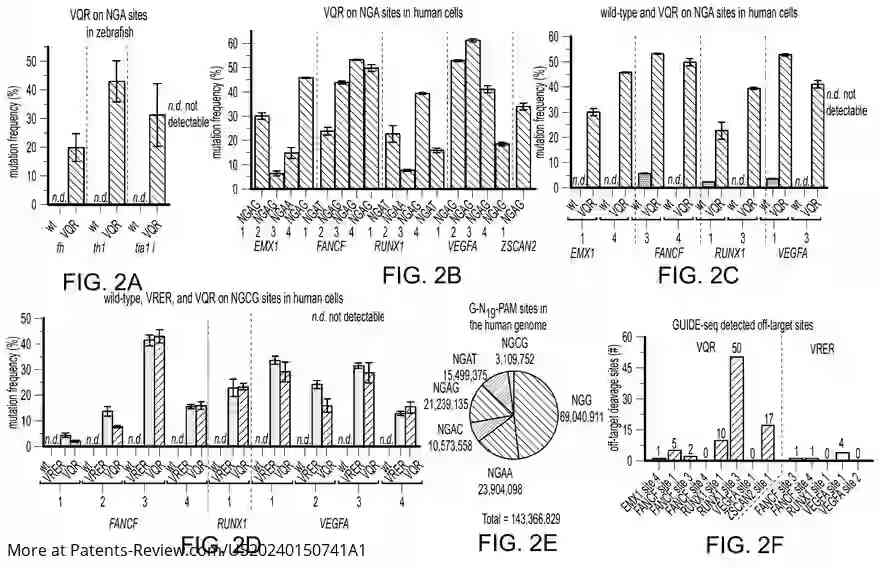 Drawing 04 for Engineered CRISPR-Cas9 nucleases with Altered PAM Specificity