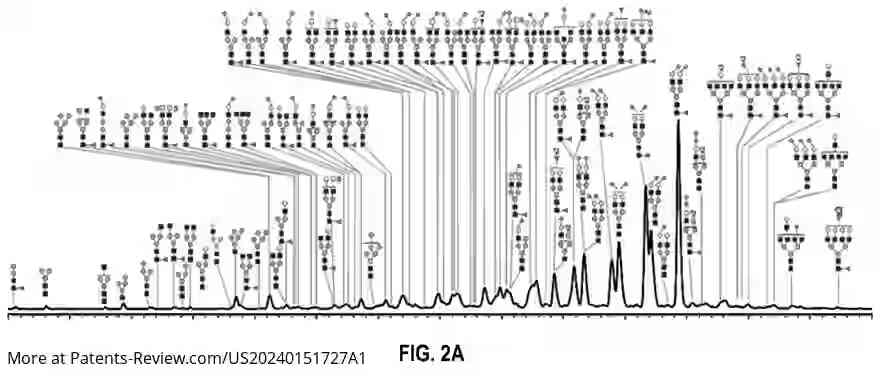 Drawing 04 for DIAGNOSTIC ALGORITHMS FOR DETERMINING AND TREATING CLINICALLY SIGNIFICANT PROSTATE CANCER BASED ON SIALYLATED AND FUCOSYLATED PROSTATE SPECIFIC ANTIGEN