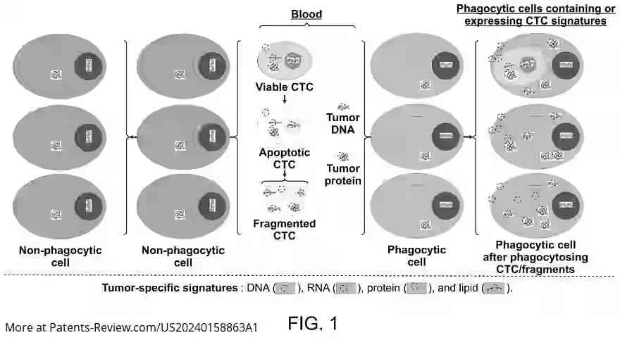 Drawing 02 for METHODS OF DETECTING SIGNATURES OF DISEASE OR CONDITIONS IN BODILY FLUIDS