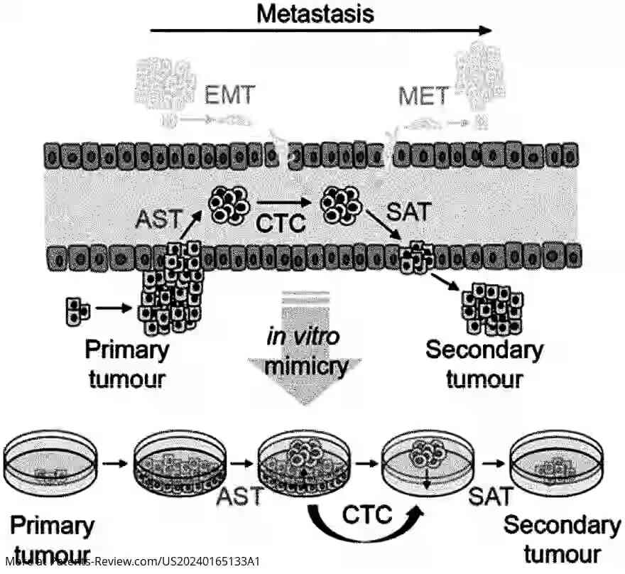 Drawing 01 for METHOD FOR SUPPRESSING CANCER METASTASIS THROUGH ALTERATION OF ADHESION DEPENDENCE OF CANCER CELLS