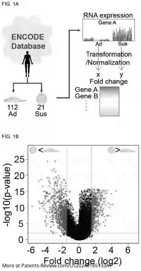 Drawing 02 for METHOD FOR SUPPRESSING CANCER METASTASIS THROUGH ALTERATION OF ADHESION DEPENDENCE OF CANCER CELLS