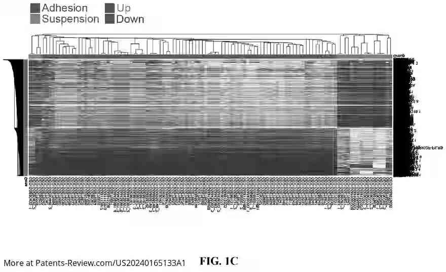 Drawing 03 for METHOD FOR SUPPRESSING CANCER METASTASIS THROUGH ALTERATION OF ADHESION DEPENDENCE OF CANCER CELLS