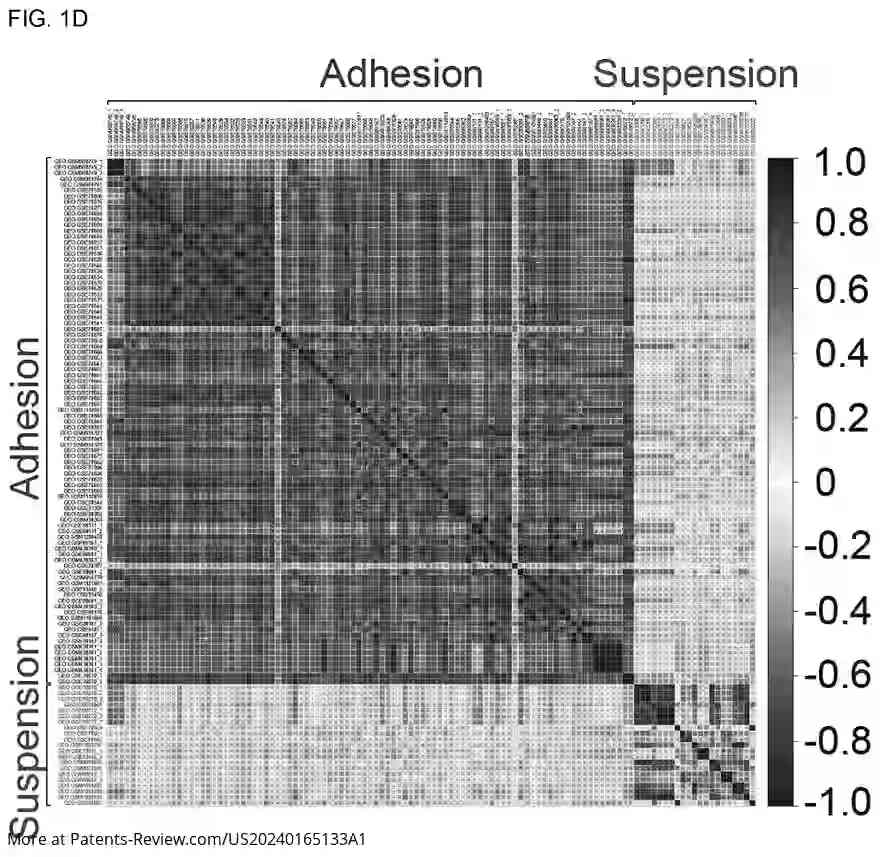 Drawing 04 for METHOD FOR SUPPRESSING CANCER METASTASIS THROUGH ALTERATION OF ADHESION DEPENDENCE OF CANCER CELLS