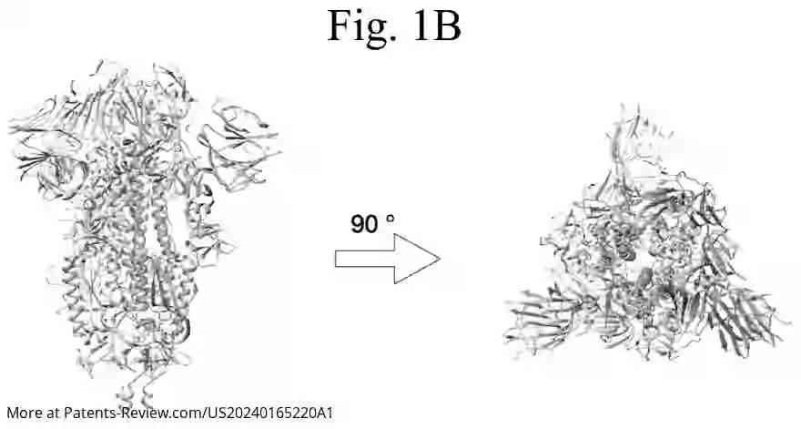 Drawing 03 for METHOD FOR INDUCING CELLULAR IMMUNITY TO INFECTION BY SARS-CoV-2