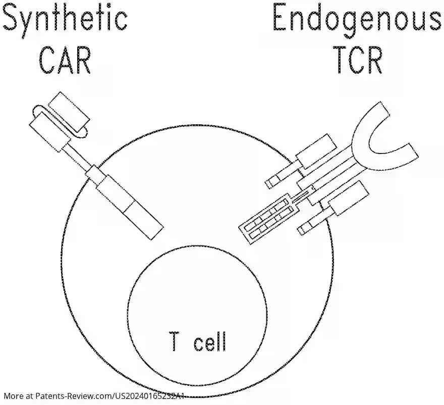 Drawing 01 for CHIMERIC RECEPTOR PROTEINS AND USES THEREOF