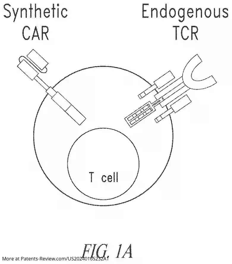 Drawing 02 for CHIMERIC RECEPTOR PROTEINS AND USES THEREOF