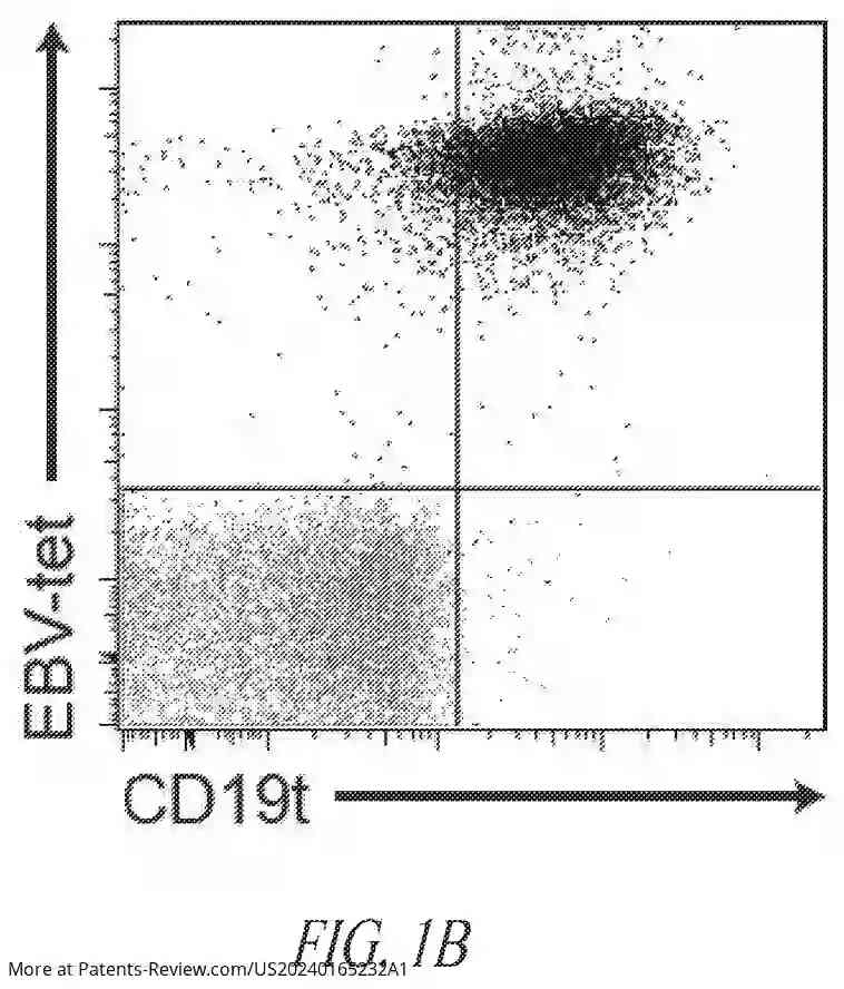 Drawing 03 for CHIMERIC RECEPTOR PROTEINS AND USES THEREOF