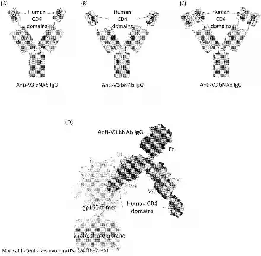 Drawing 01 for ANTIGEN BINDING PROTEINS