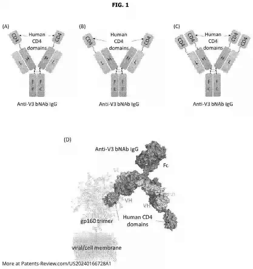 Drawing 02 for ANTIGEN BINDING PROTEINS