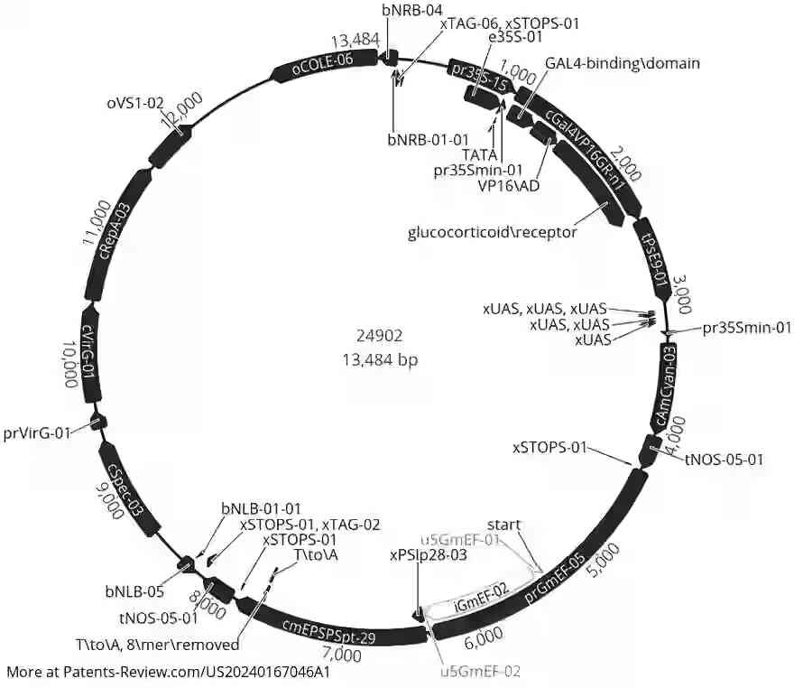 Drawing 01 for INDUCIBLE MOSAICISM