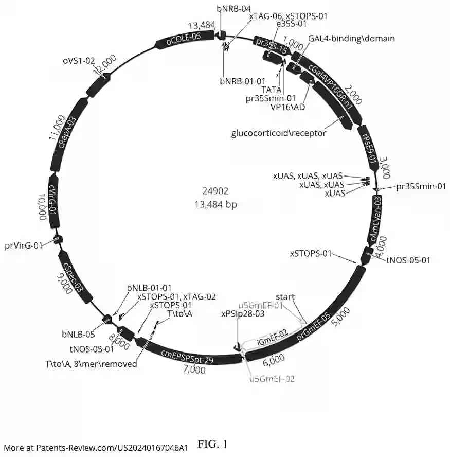 Drawing 02 for INDUCIBLE MOSAICISM