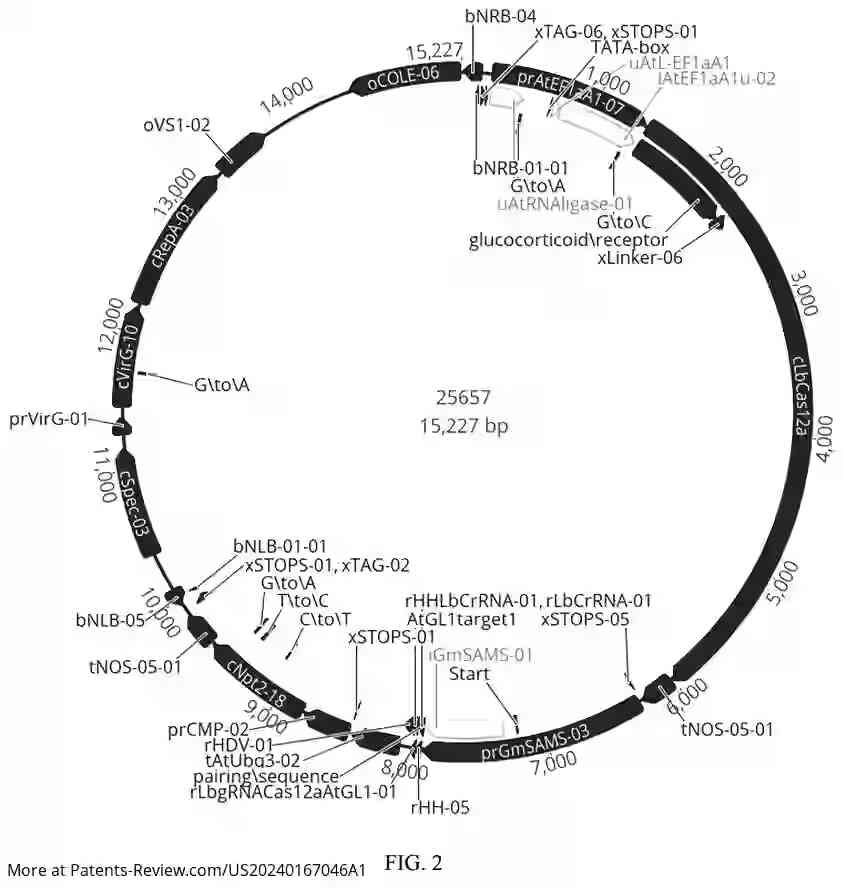 Drawing 03 for INDUCIBLE MOSAICISM