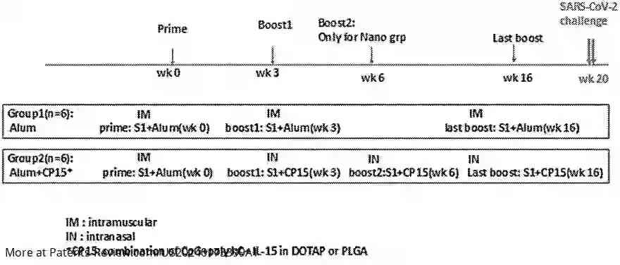 Drawing 01 for ADJUVANTED MUCOSAL SUBUNIT VACCINES FOR PREVENTING SARS-COV-2 TRANSMISSION AND INFECTION