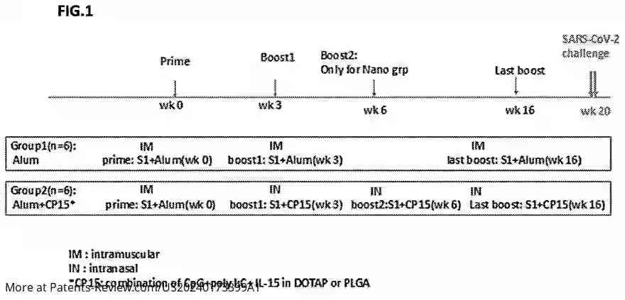 Drawing 02 for ADJUVANTED MUCOSAL SUBUNIT VACCINES FOR PREVENTING SARS-COV-2 TRANSMISSION AND INFECTION