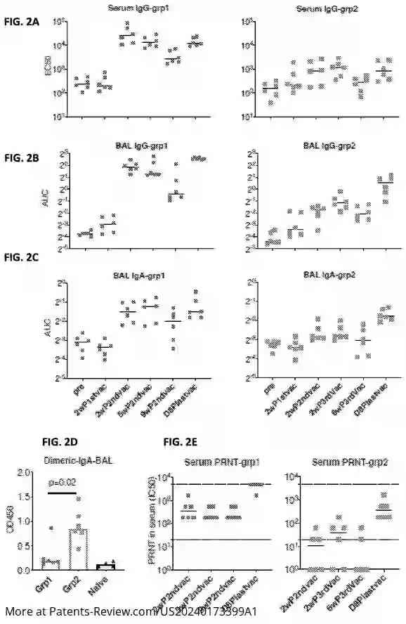 Drawing 03 for ADJUVANTED MUCOSAL SUBUNIT VACCINES FOR PREVENTING SARS-COV-2 TRANSMISSION AND INFECTION