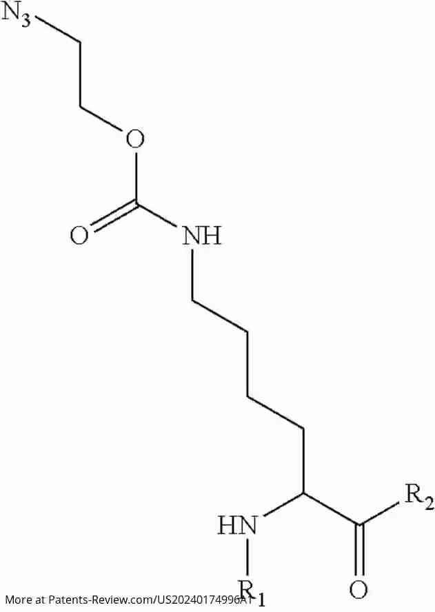 Drawing 05 for METHOD FOR SITE-SPECIFIC CONJUGATION OF NUCLEIC ACID TO CRISPR FAMILY PROTEIN, AND CONJUGATE THEREOF AND USE THEREOF