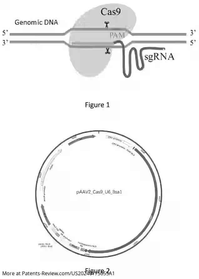 Drawing 02 for CRISPR/CAS9 GENE EDITING SYSTEM AND APPLICATION THEREOF