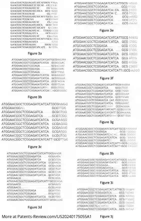 Drawing 03 for CRISPR/CAS9 GENE EDITING SYSTEM AND APPLICATION THEREOF