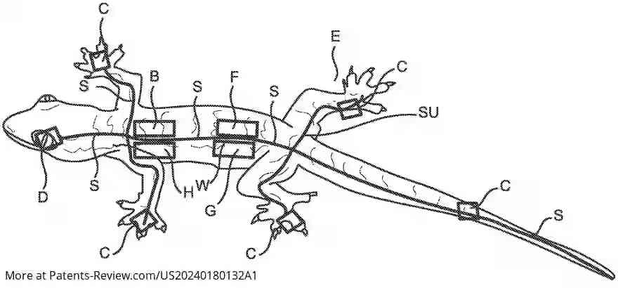 Drawing 01 for Fishing Lure