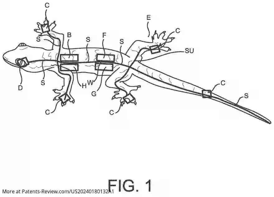 Drawing 02 for Fishing Lure