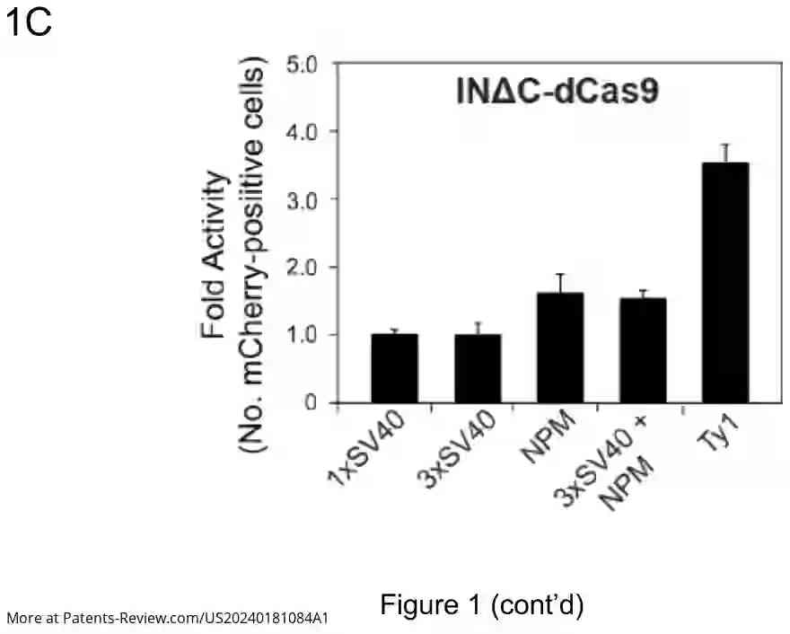 Drawing 04 for Genome Editing by Directed Non-Homologous DNA Insertion Using a Retroviral Integrase-Cas Fusion Protein and Methods of Treatment